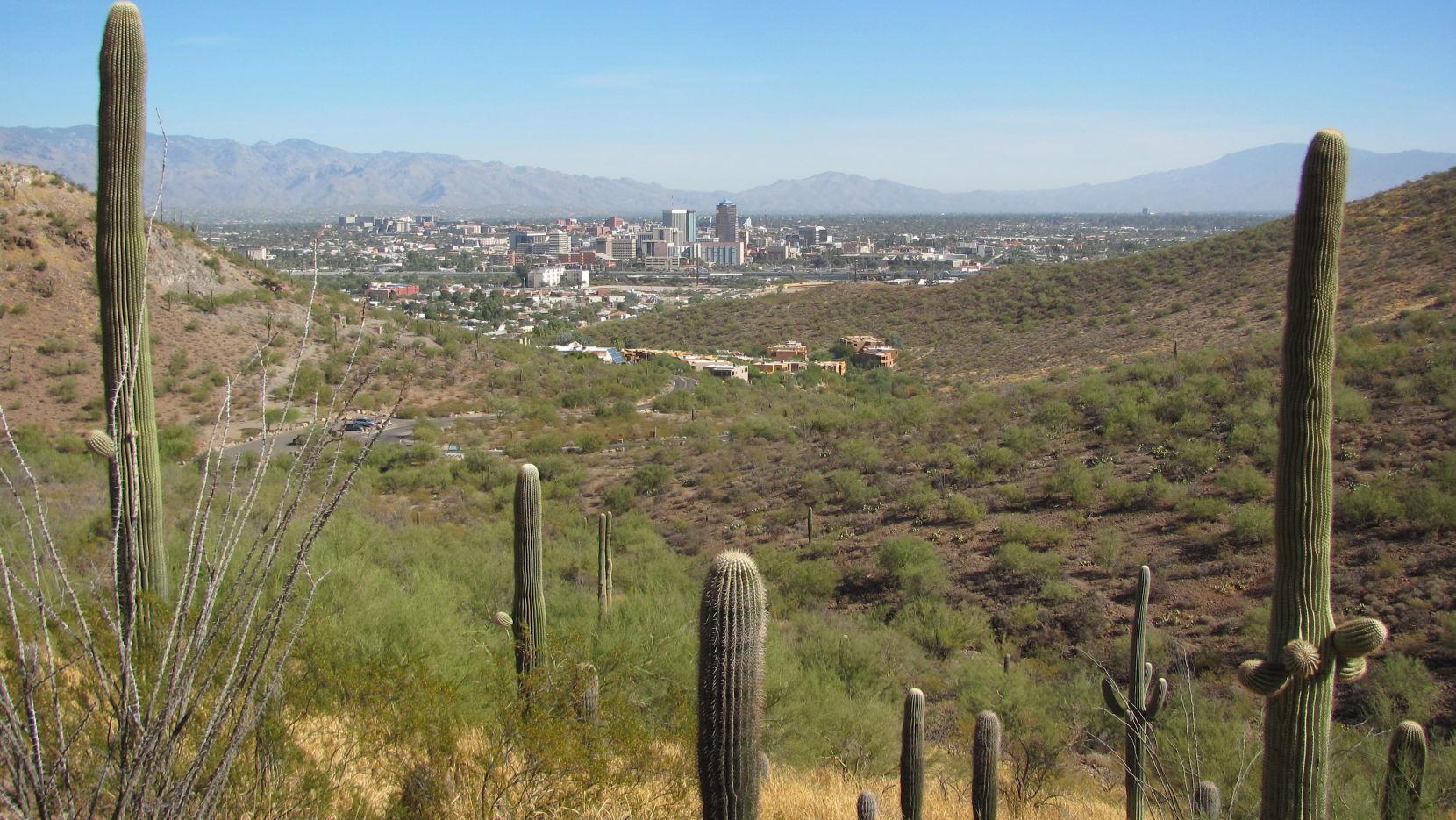 Consider a hike — instead of a drive — on Tucson's "A" Mountain